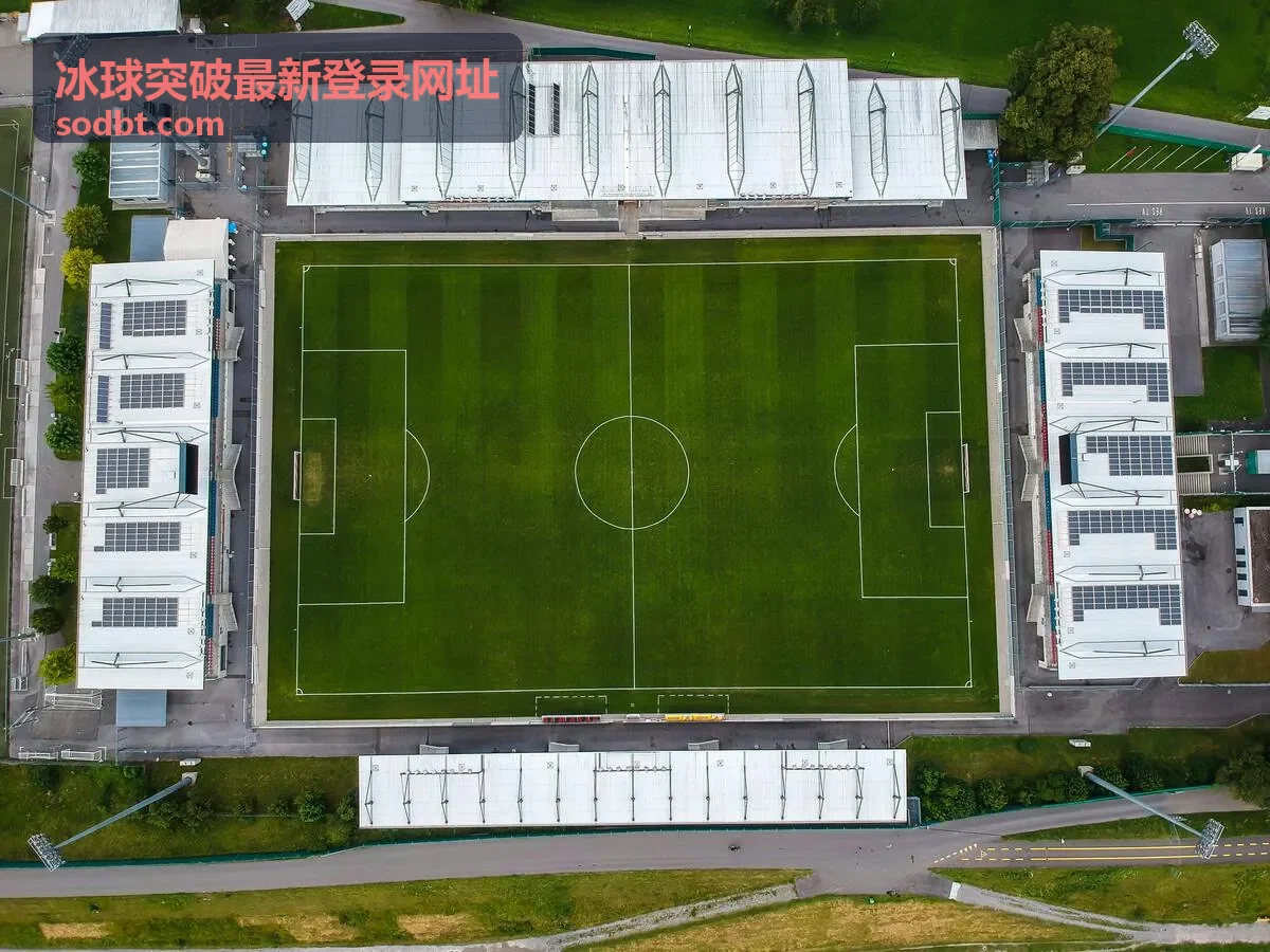 冰球突破最新登录网址场景配图